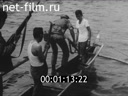 Кадр видео