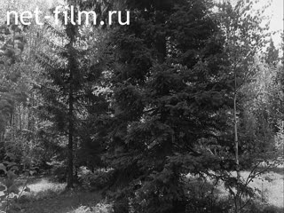 Footage Collective farm "Tatarstan" of the Rybnoslobodsky district. (1990)