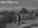 Кадр видео