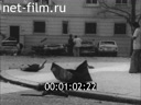 Кадр видео