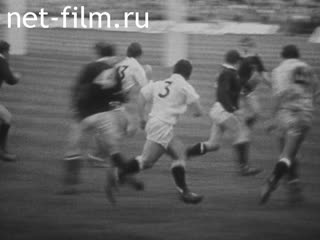 News Foreign newsreels №6595 (1981)