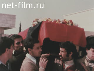 News Foreign newsreels №6591 (1981)