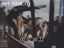 Footage frame