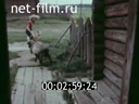 Кадр видео