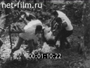 Кадр видео