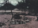 Footage frame