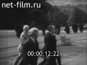 Кадр видео
