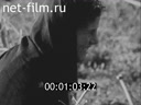 Кадр видео