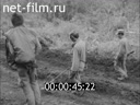 Кадр видео