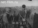 Кадр видео