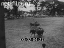 Footage frame