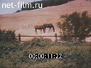 Footage frame