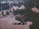 Footage frame