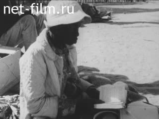 News Foreign newsreels №5782 (1978)