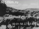 Кадр видео