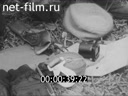 Кадр видео