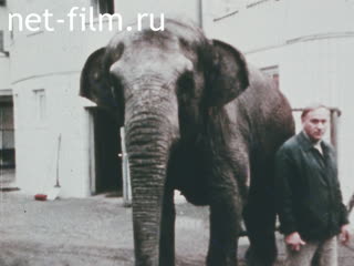 Новости Зарубежные киносюжеты №5865 (1978)