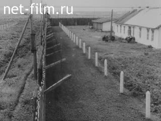 Footage Kuneevsky Correctional Labor Camp. (1957)