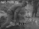 Кадр видео