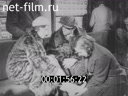 Отечественная кинохроника 1930-х годов