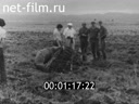 Кадр видео