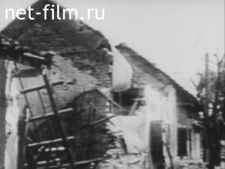 News Foreign newsreels №6012 (1979)