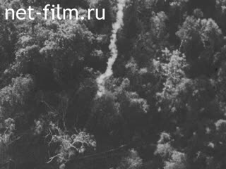 Новости Зарубежные киносюжеты №1808 (1968)