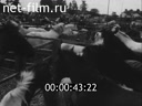 Foreign newsreels №4900