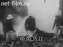 Foreign newsreels №4900