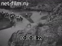 Кадр видео