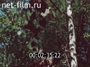 Footage frame