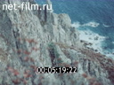 Footage frame