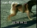 Footage frame