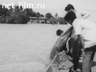 News Foreign newsreels №5124 (1977)