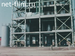 News Foreign newsreels №6472 (1980)