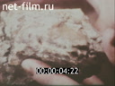 Footage frame