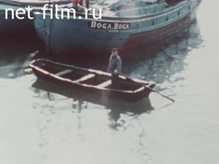 News Foreign newsreels №5908 (1979)