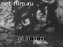 Footage frame