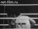 Foreign newsreels №3803