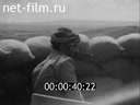 Foreign newsreels №3803