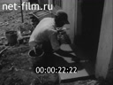 Foreign newsreels №3803