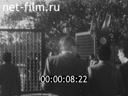 Кадр видео