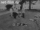 Кадр видео