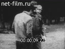 Кадр видео