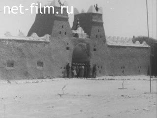 News Foreign newsreels №5691 (1978)