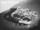 Foreign newsreels №4573