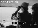 Foreign newsreels №4573