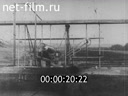 Foreign newsreels №5851