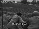 Кадр видео