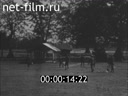 Footage frame